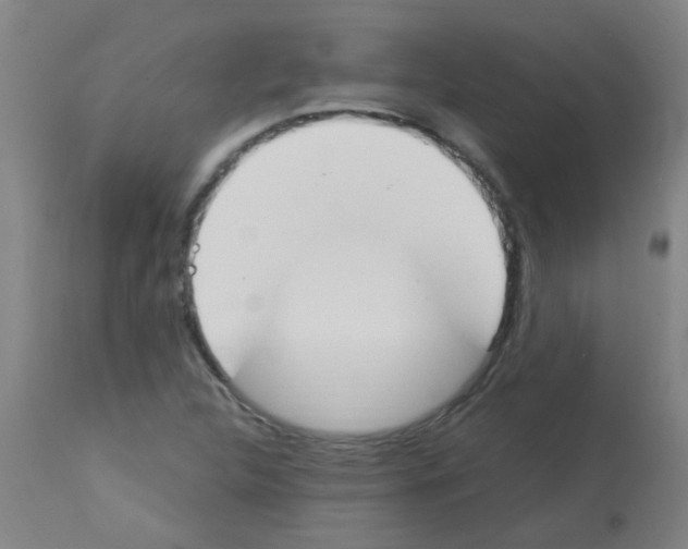 X0000113171312200910161258
