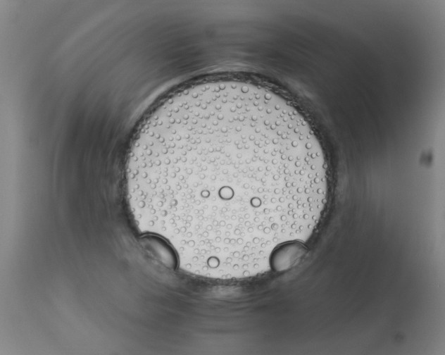 X0000113171313200910161258