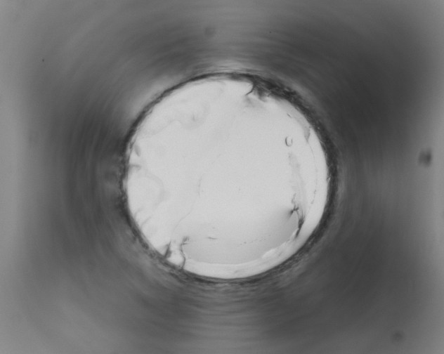X0000113171314200910161258