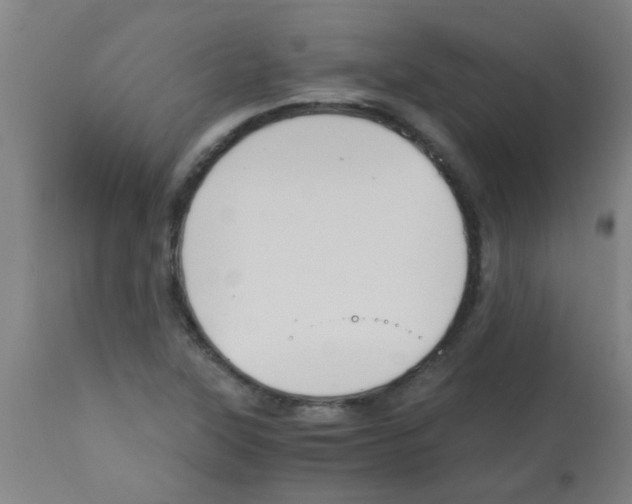 X0000113171315200910161258