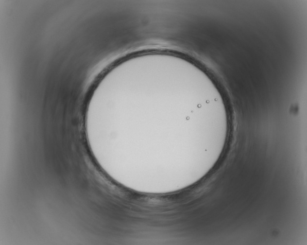 X0000113171318200910161258
