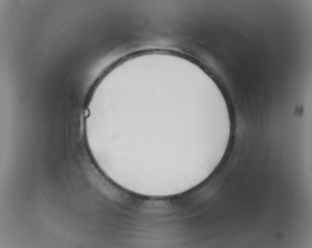 X0000113171320200910161258