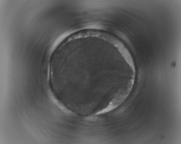 X0000113171323200910161258