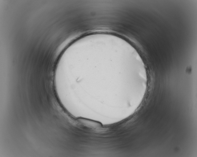 X0000113171325200910161258