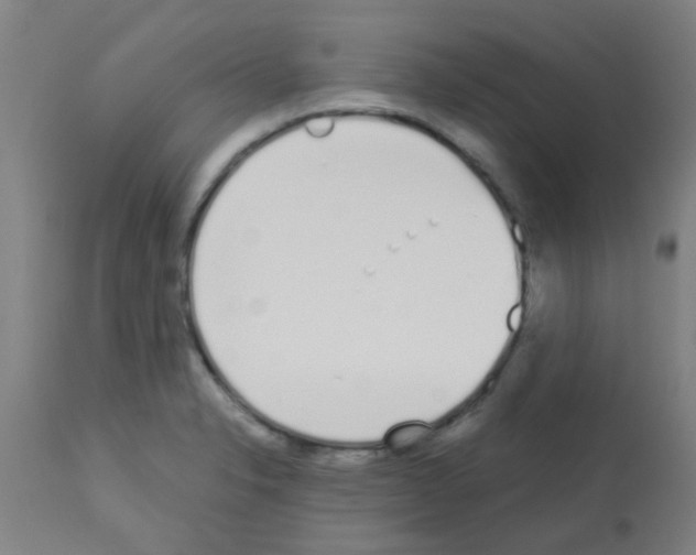 X0000113171326200910161259
