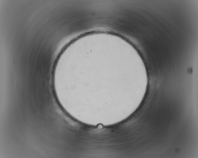 X0000113171327200910161259