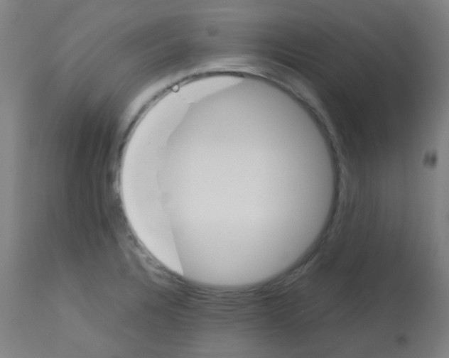 X0000113171328200910161259