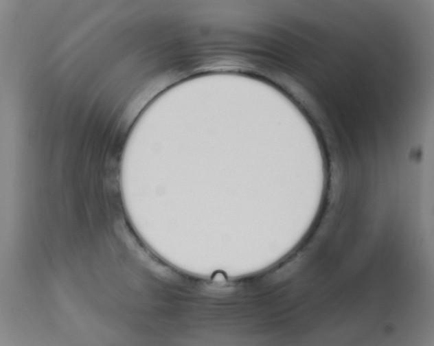 X0000113171329200910161259