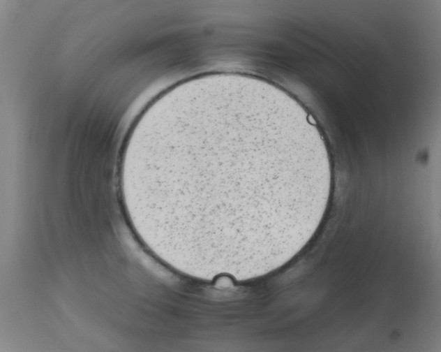 X0000113171331200910161259