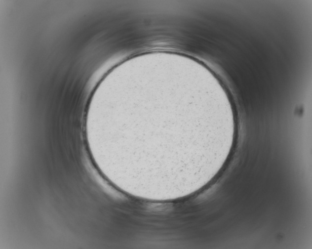 X0000113171333200910161259