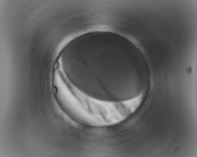 X0000113171334200910161259