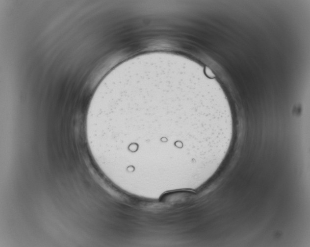 X0000113171337200910161259