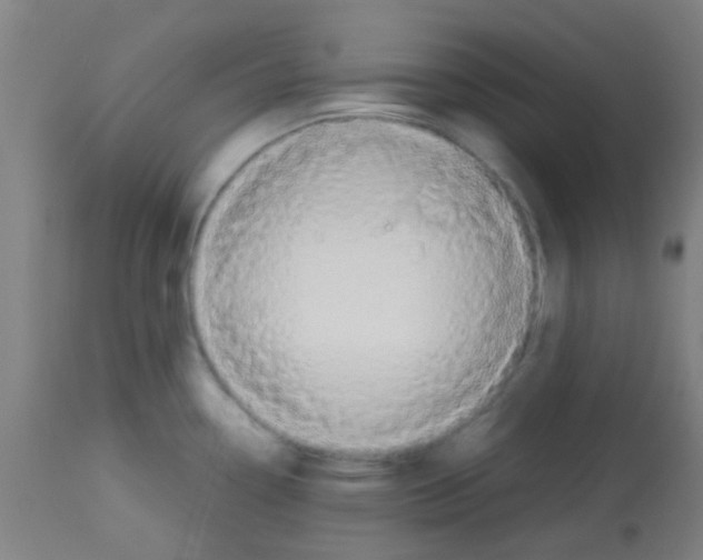 X0000113171338200910161259