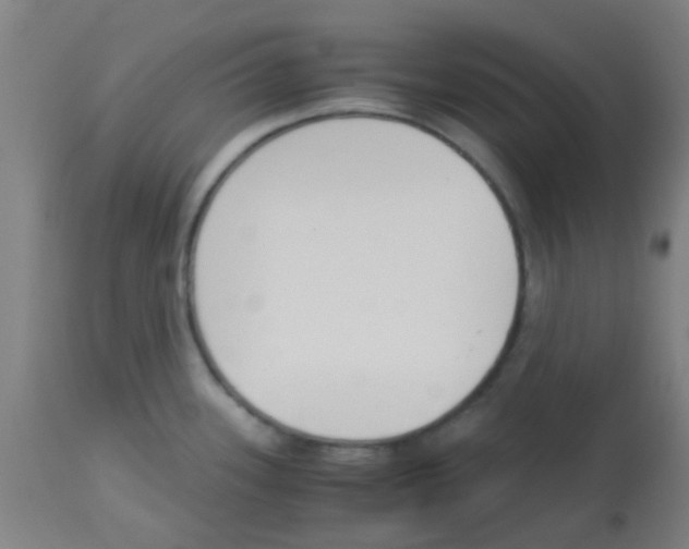 X0000113171339200910161259