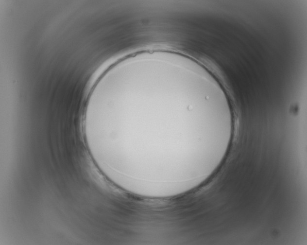 X0000113171340200910161259