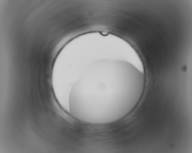 X0000113171342200910161259