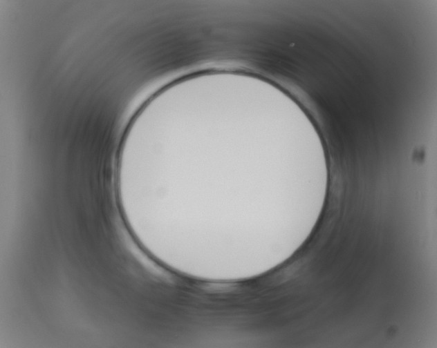 X0000113171343200910161259