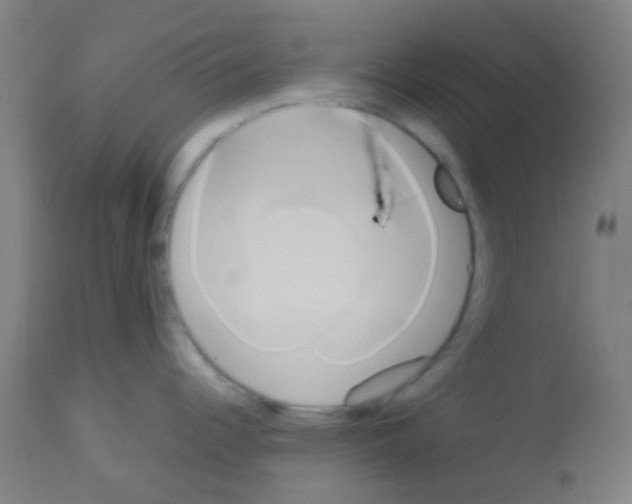 X0000113171344200910161259