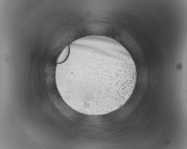 X0000113171346200910161258