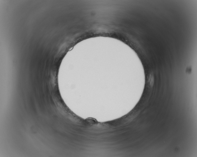 X0000113171348200910161258