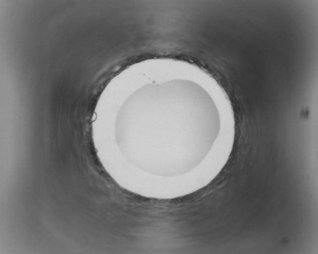 X0000113171349200910161258