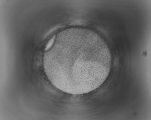 X0000113171350200910161258