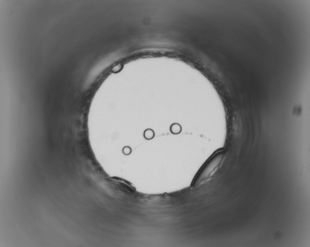 X0000113171352200910161258