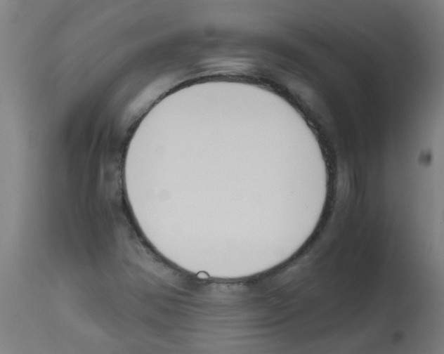 X0000113171354200910161258