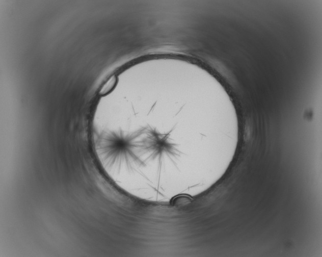 X0000113171356200910161258