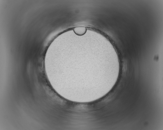 X0000113171358200910161258