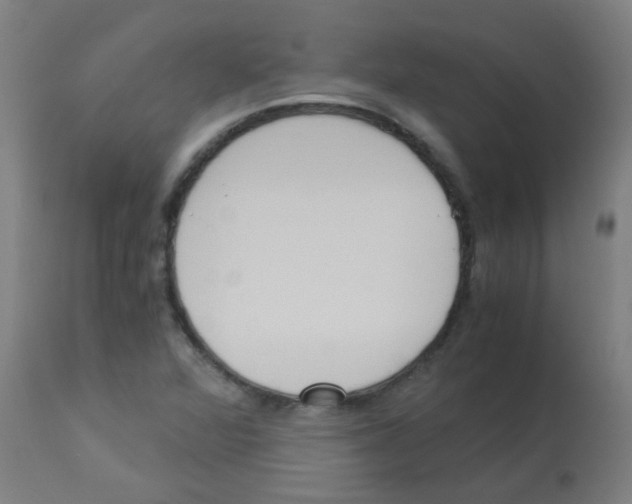 X0000113171360200910161258