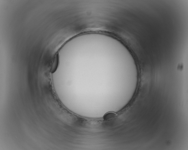 X0000113171361200910161258
