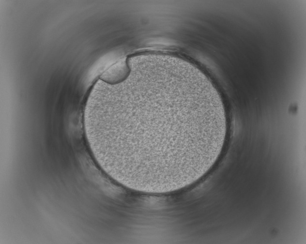 X0000113171362200910161258