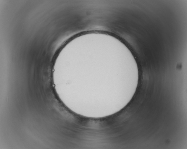 X0000113171364200910161257