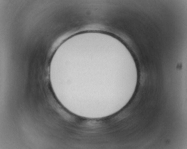X0000113171366200910161257