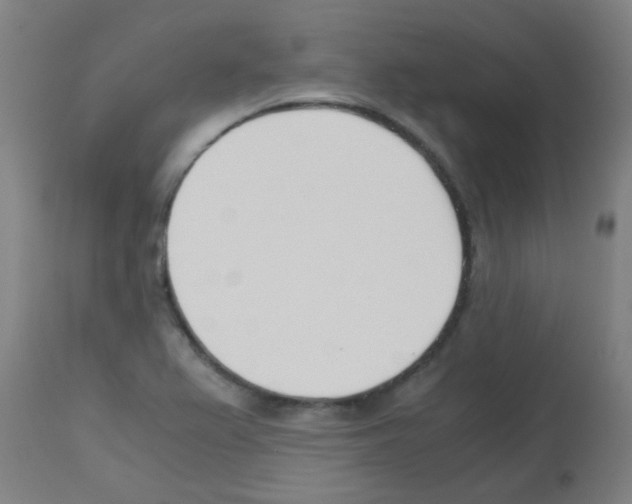 X0000113171367200910161257