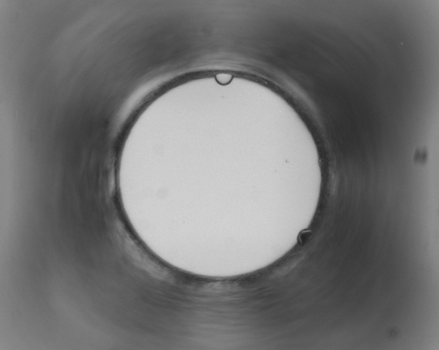 X0000113171368200910161257