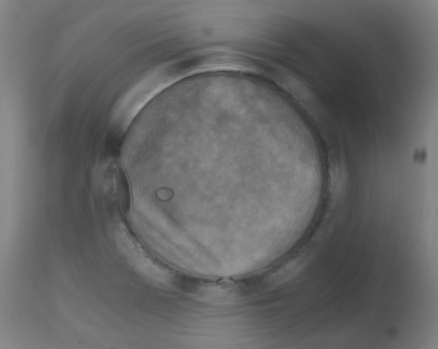 X0000113171369200910161257