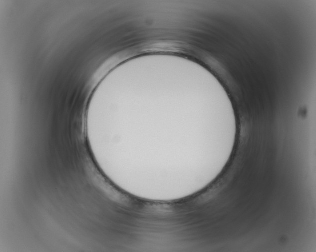 X0000113171370200910161257