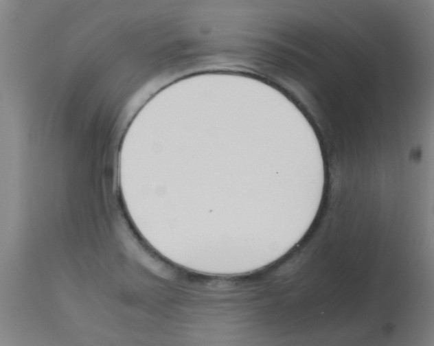 X0000113171371200910161257