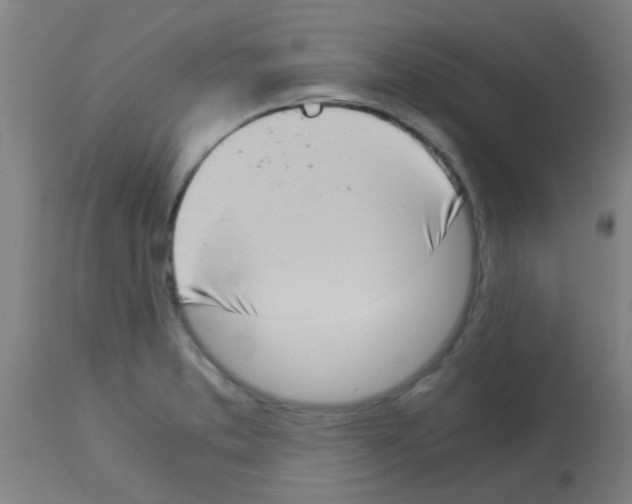 X0000113171373200910161257