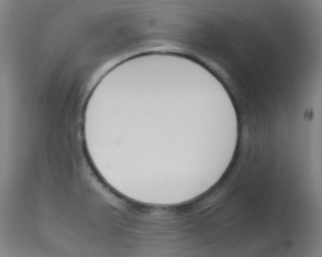 X0000113171375200910161257