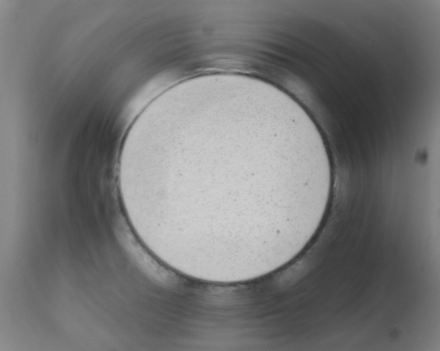 X0000113171378200910161257
