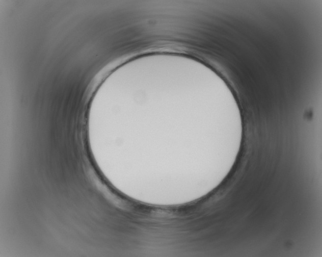 X0000113171379200910161257
