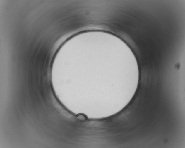 X0000113171380200910161257