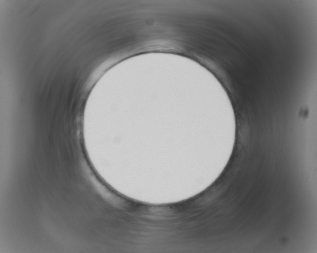 X0000113171383200910161257