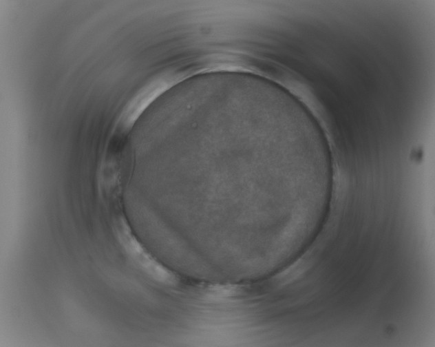 X0000113171385200910161257