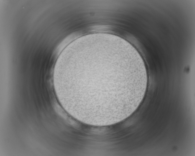 X0000113171386200910161257