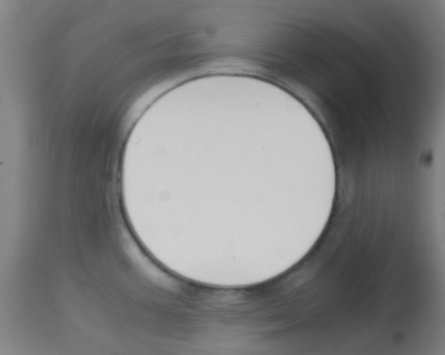 X0000113171387200910161257