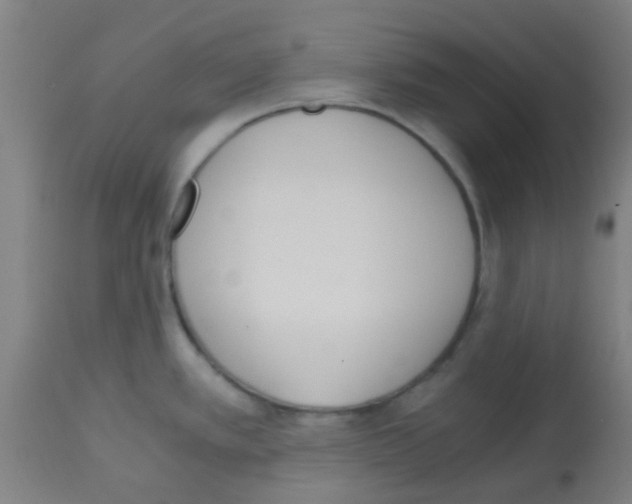 X0000113171389200910161257